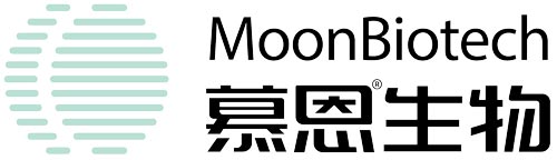 慕恩